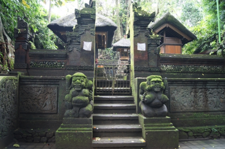 몽키 포레스트 Ⅱ