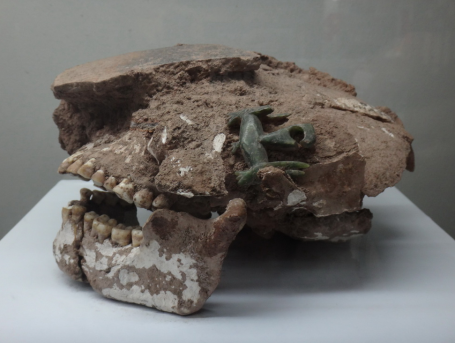 호찌민역사박물관Ⅶ